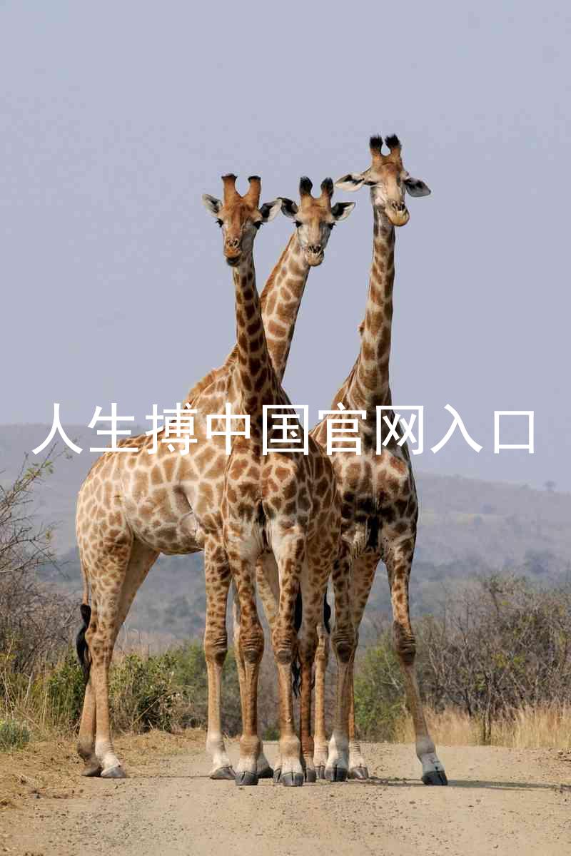 人生搏中国官网入口